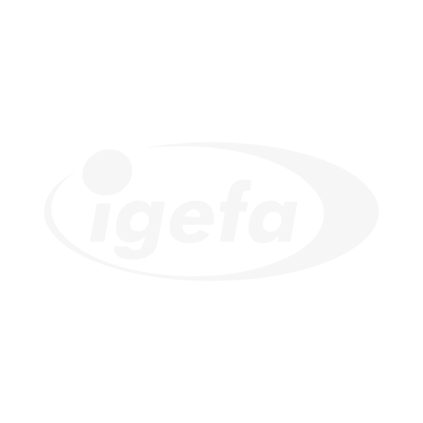 Igefa