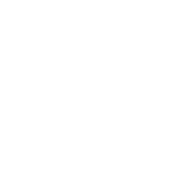 correctiv