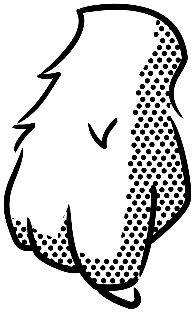 Baloo Brands Pointer2